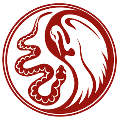 fokus-kampfkunst_wing_chun